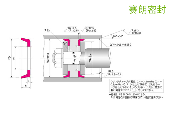 NOK-CPI型活塞密封_NOK密封件