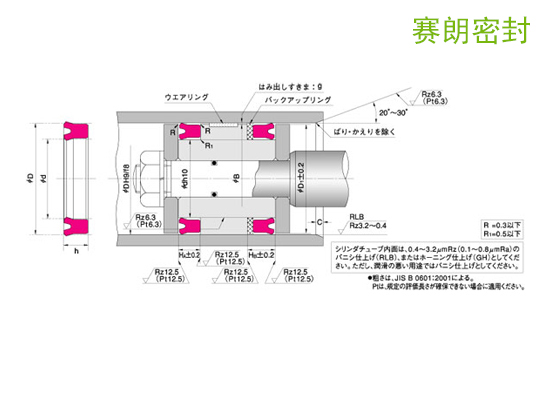 NOK-UPH型活塞/活塞杆密封_NOK密封件